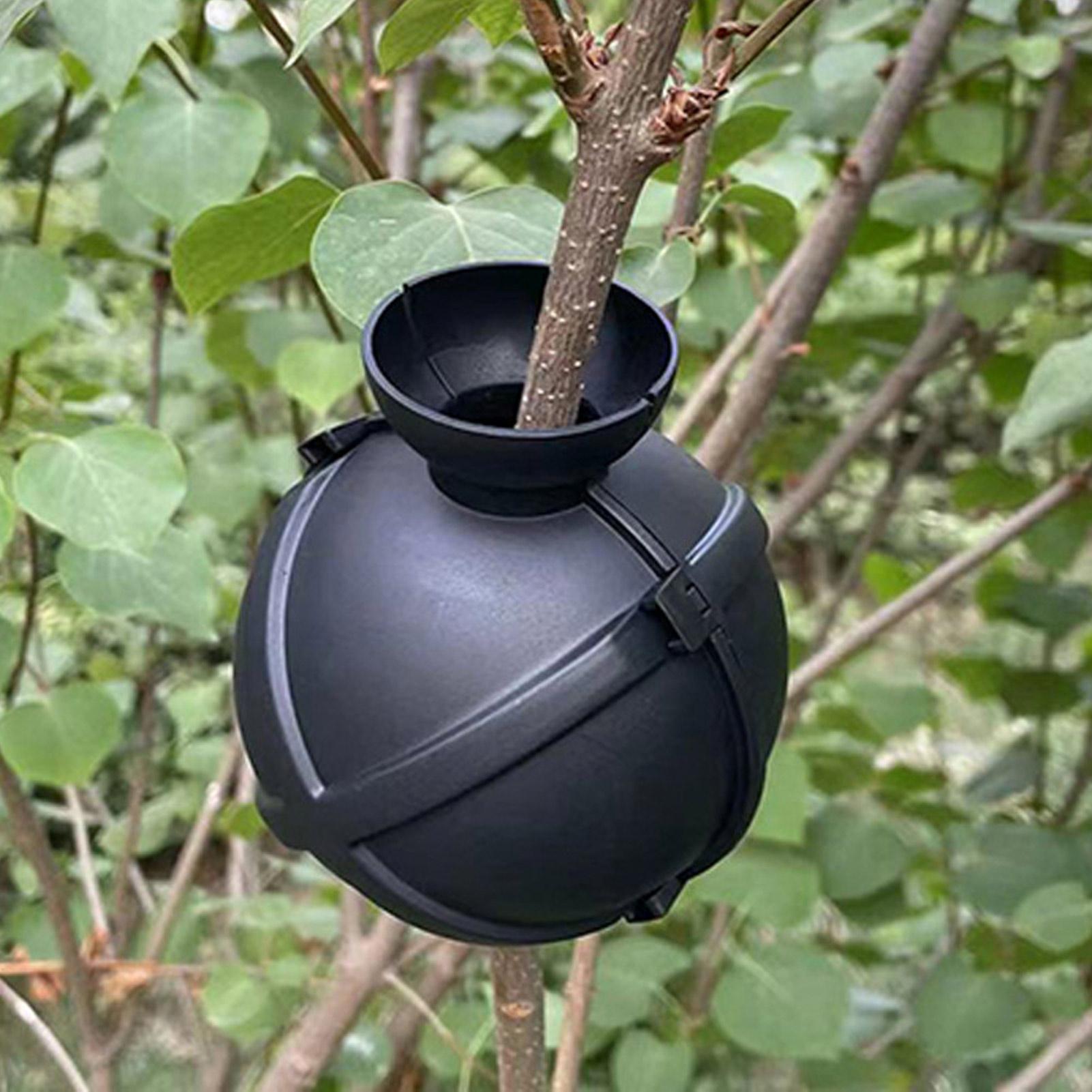 Garden Orchard Plants Grafting – Rooting Gel Clone Bewertung und Preis